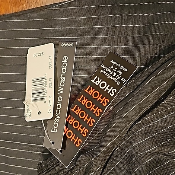 Briggs Petite Dress Pants - Picture 4 of 5